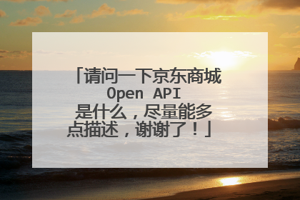 请问一下京东商城 Open API 是什么，尽量能多点描述，谢谢了！