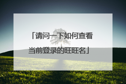 请问一下如何查看当前登录的旺旺名