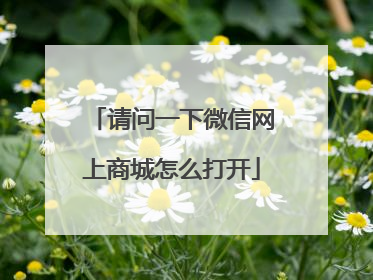 请问一下微信网上商城怎么打开