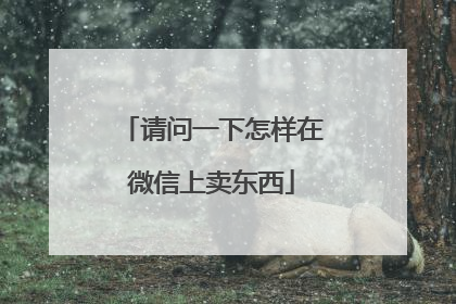 请问一下怎样在微信上卖东西