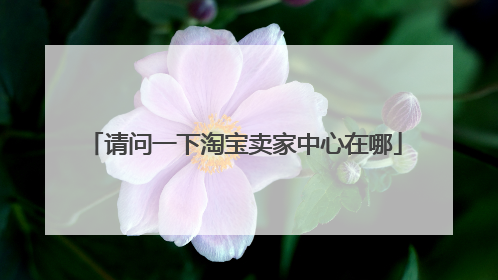 请问一下淘宝卖家中心在哪
