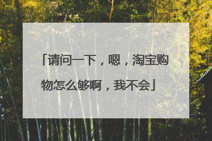 请问一下,嗯,淘宝购物怎么够啊,我不会