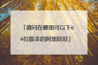 请问在哪里可以下64位版本的阿里旺旺
