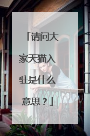 请问大家天猫入驻是什么意思?