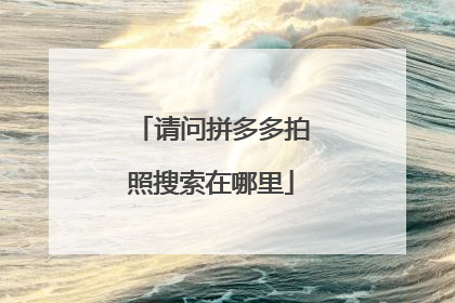 请问拼多多拍照搜索在哪里