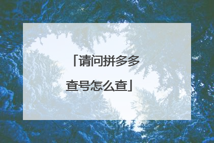 请问拼多多查号怎么查