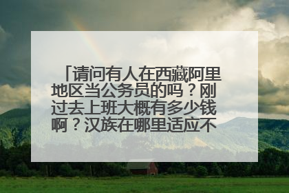 请问有人在西藏阿里地区当公务员的吗？刚过去上班大概有多少钱啊？汉族在哪里适应不？谢谢知道的人