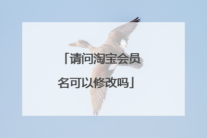 请问淘宝会员名可以修改吗