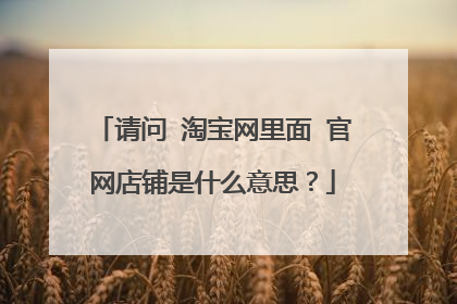 请问 淘宝网里面 官网店铺是什么意思?