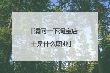 请问一下淘宝店主是什么职业