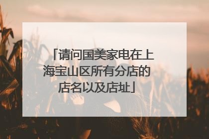 请问国美家电在上海宝山区所有分店的店名以及店址