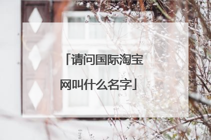 请问国际淘宝网叫什么名字