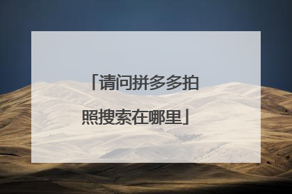 请问拼多多拍照搜索在哪里