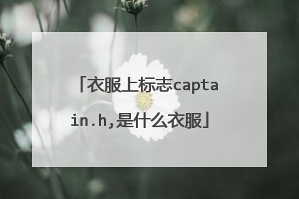 衣服上标志captain.h,是什么衣服