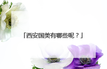 西安国美有哪些呢?