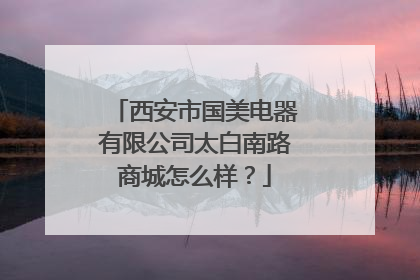 西安市国美电器有限公司太白南路商城怎么样?