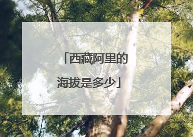 西藏阿里的海拔是多少
