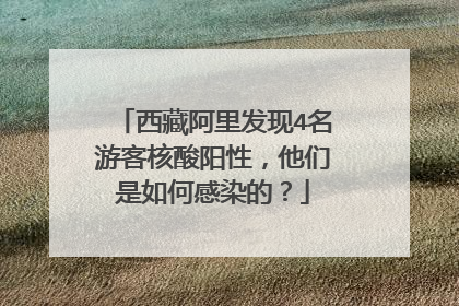 西藏阿里发现4名游客核酸阳性,他们是如何感染的?