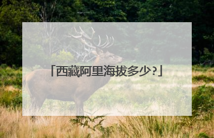 西藏阿里海拔多少?