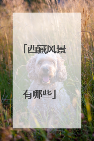 西藏风景有哪些