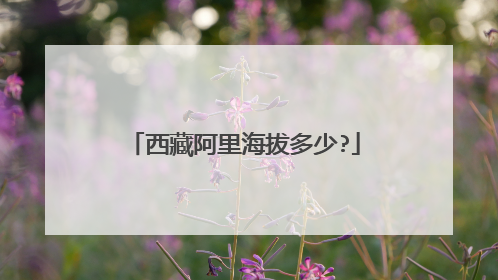 西藏阿里海拔多少?