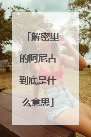 解密里的阿尼古到底是什么意思