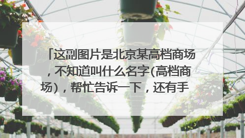 这副图片是北京某高档商场,不知道叫什么名字(高档商场),帮忙告诉一下,还有手提的纸袋,是什么牌子的