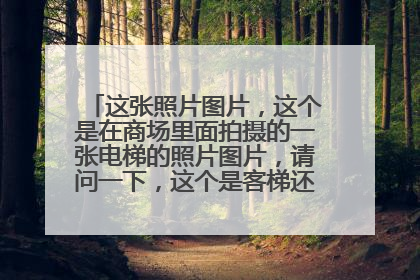 这张照片图片,这个是在商场里面拍摄的一张电梯的照片图片,请问一下,这个是客梯还是货梯呢?