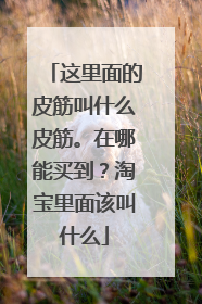 这里面的皮筋叫什么皮筋。在哪能买到?淘宝里面该叫什么