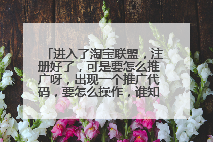 进入了淘宝联盟,注册好了,可是要怎么推广呀,出现一个推广代码,要怎么操作,谁知,教教我呀。