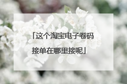 这个淘宝电子卷码接单在哪里接呢