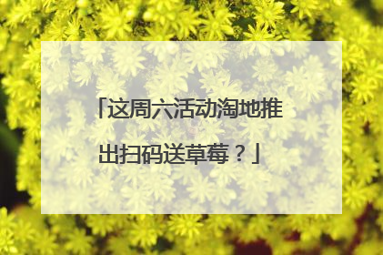 这周六活动淘地推出扫码送草莓?