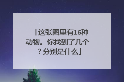这张图里有16种动物。你找到了几个?分别是什么