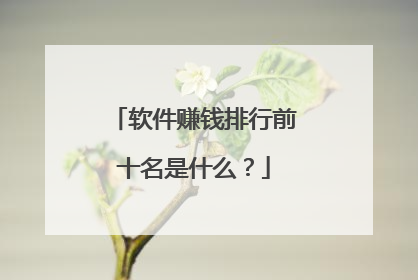 软件赚钱排行前十名是什么?