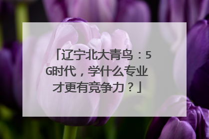 辽宁北大青鸟：5G时代，学什么专业才更有竞争力？