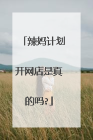 辣妈计划开网店是真的吗?