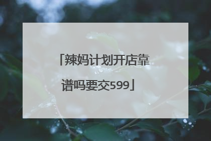 辣妈计划开店靠谱吗要交599