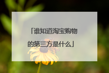 谁知道淘宝购物的第三方是什么