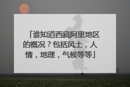 谁知道西藏阿里地区的概况？包括风土，人情，地理，气候等等