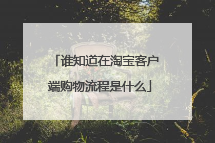 谁知道在淘宝客户端购物流程是什么