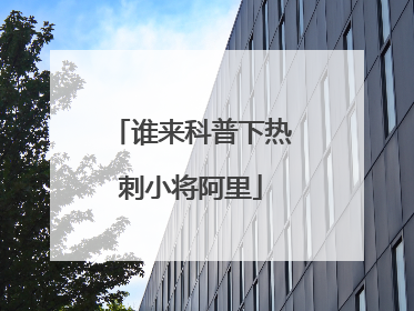谁来科普下热刺小将阿里