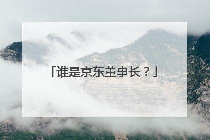 谁是京东董事长？