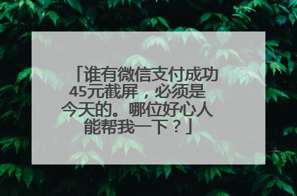 谁有微信支付成功45元截屏,必须是今天的。哪位好心人能帮我一下?