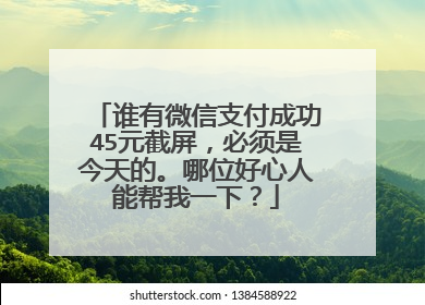 谁有微信支付成功45元截屏,必须是今天的。哪位好心人能帮我一下?