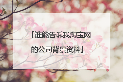 谁能告诉我淘宝网的公司背景资料