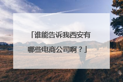 谁能告诉我西安有哪些电商公司啊?