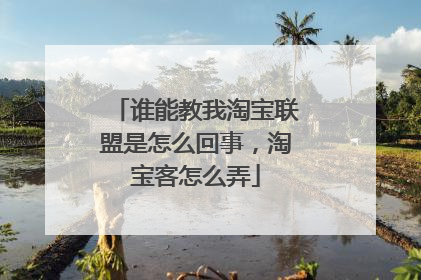 谁能教我淘宝联盟是怎么回事,淘宝客怎么弄