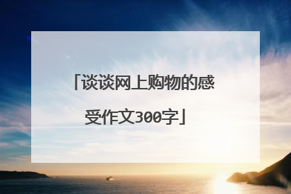 谈谈网上购物的感受作文300字