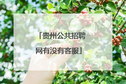 贵州公共招聘网有没有客服