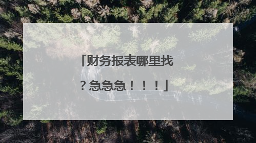 财务报表哪里找?急急急!!!